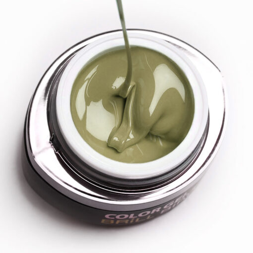 Brush&Go Gel Color GO 134 (4,5ml)
